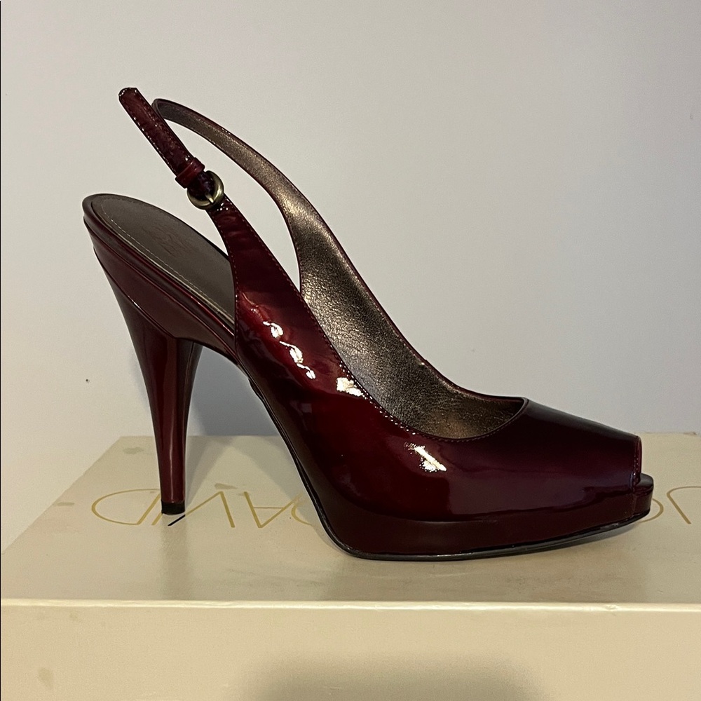 Joan & David Dark Red Pumps